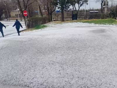 Nieve en Mendoza