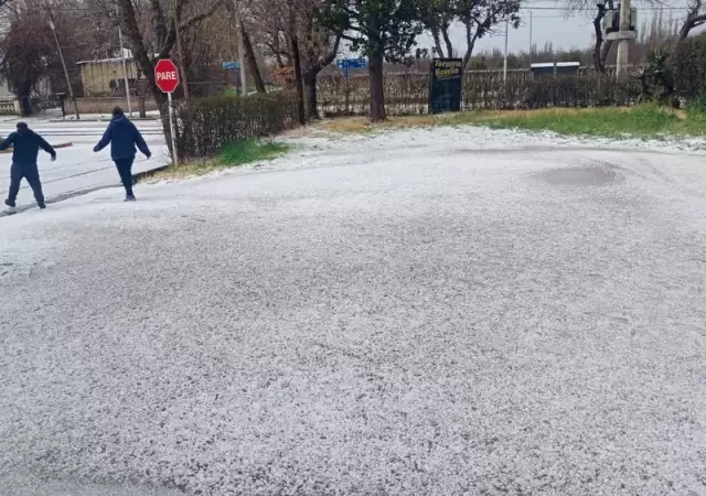 Nieve en Mendoza.