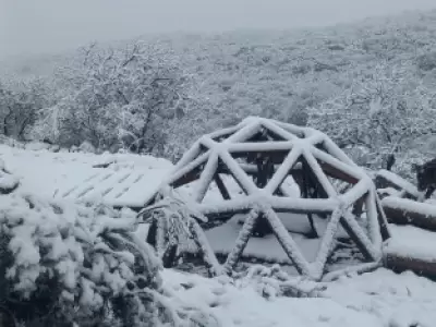Nieve en San Luis/ Fuente: X