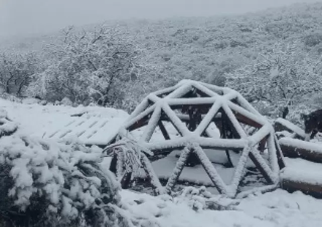 Nieve en San Luis/ Fuente: X