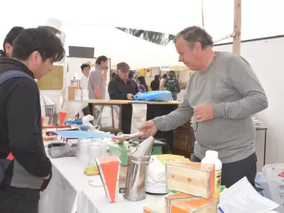 Expo Ap�cola Lavalle.