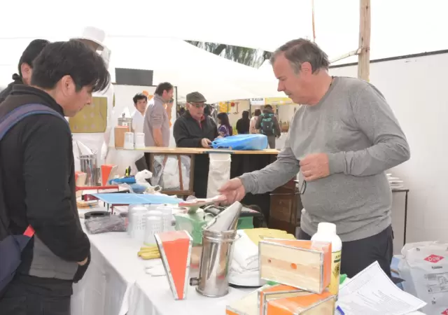 Expo Ap�cola Lavalle.
