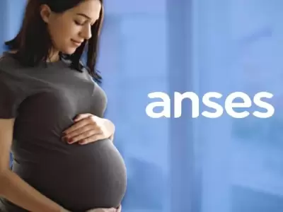 El cronograma de ANSES para la AUE empieza el mi�rcoles 10 de septiembre.