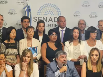 Uni�n por la Patria re�ne parte de la mayor�a./