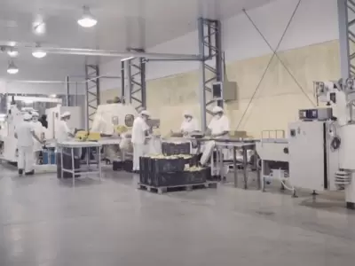 Alto porcentaje de pymes industriales
