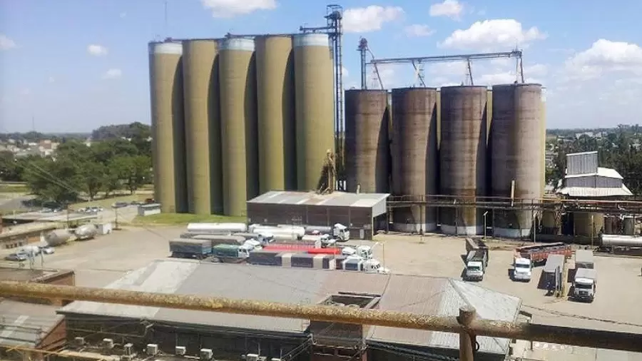 La producción alimenticia en plena actividad