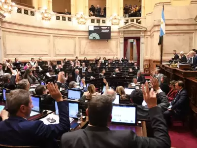 Amplio respaldo del Senado a la reforma de la Ley de DNU.
