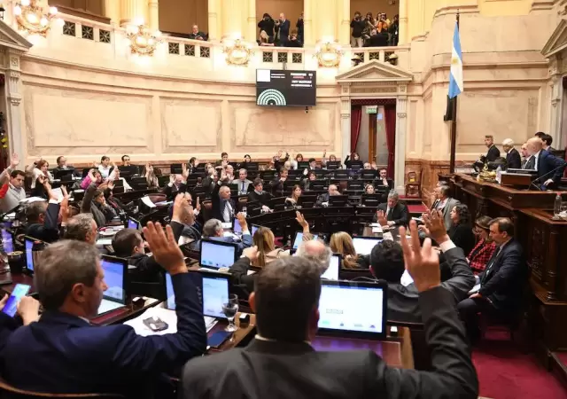 Amplio respaldo del Senado a la reforma de la Ley de DNU.