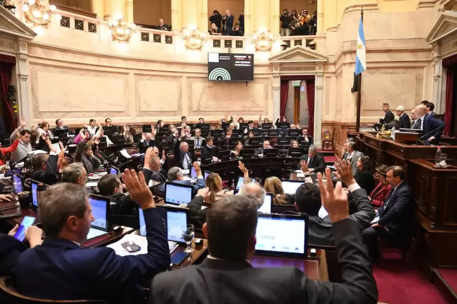 Amplio respaldo del Senado a la reforma de la Ley de DNU.