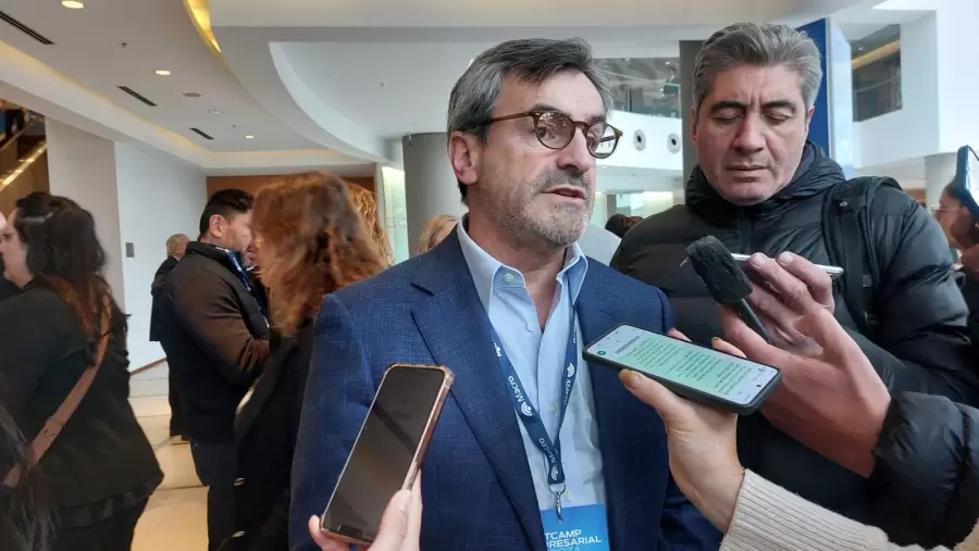 Titular de la UIA, Mart�n Rappallini.