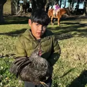 Desesperada b�squeda en Olavarr�a: activan el Alerta Sof�a por un ni�o de 8 a�os desaparecido