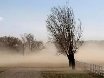 Viento Zonda en Mendoza /Fuente: Web