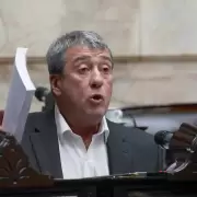 Adolfo Bermejo: "El mendocino espera que el peronismo proponga cambios"