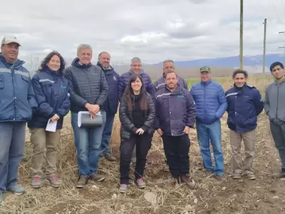Irrigaci�n busca modernizar el Sistema Yaucha-Presurizaci�n Rama Dumas, en San Carlos.
