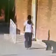 Imágenes de la alumna que llevó un arma a la escuela y se atrincheró