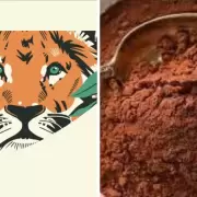 De la vid al grano: el mendocino que revoluciona el caf� de especialidad