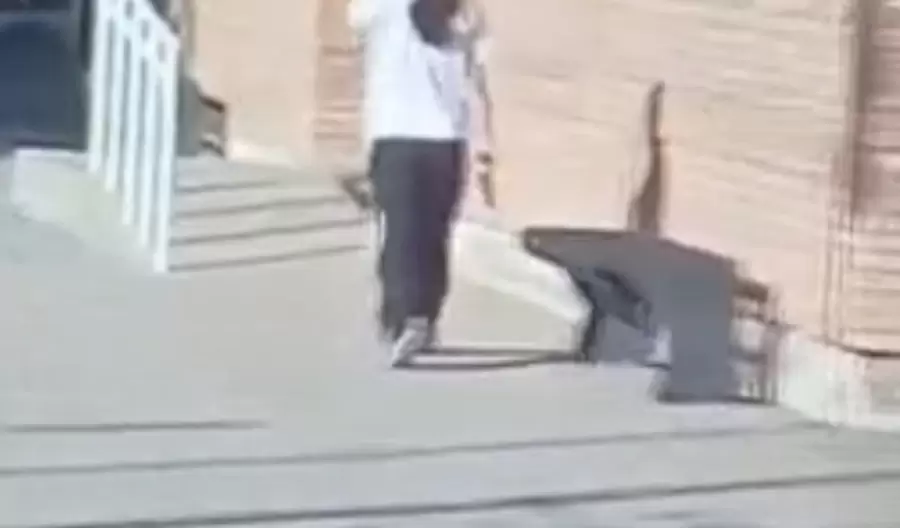 La joven de 14 a�os ingresando a la escuela de La Paz (Mendoza) con el arma.