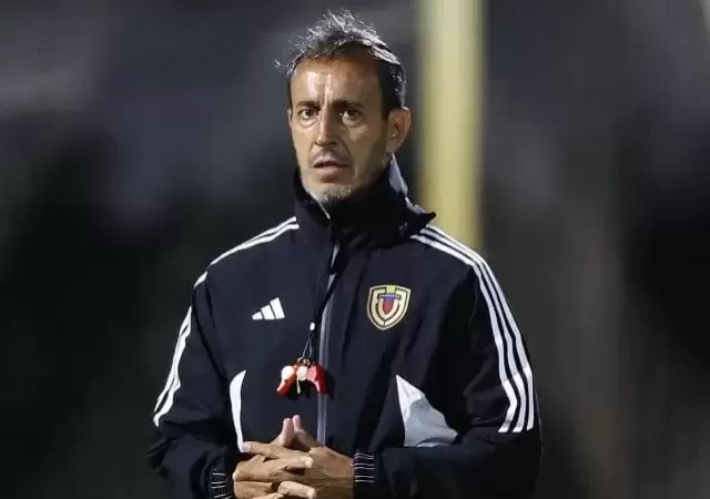 Al Bocha lo despidieron despu�s de no lograr el pase al Mundial.