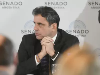 El exministro del Interior, Lisandro Catal�n