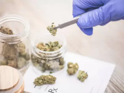 Cannabis medicinal.