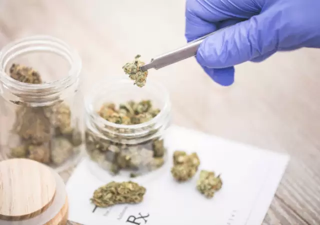 Cannabis medicinal.