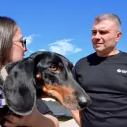 Un hogar para cada patita: jornada de adopci�n y vacunaci�n gratuita en Godoy Cruz