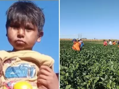 Lian Flores. Tres a�os de edad. Desaparecido en febrero de 2025.