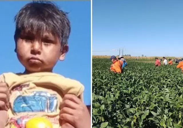 Lian Flores. Tres a�os de edad. Desaparecido en febrero de 2025.
