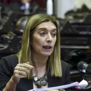 Danya Tavela, diputada nacional: "Del Presidente no esperamos m�s que distancia e insensibilidad"