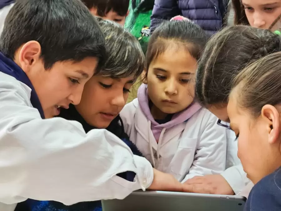 La Direcci�n General de Escuelas (DGE) realizar� una experiencia denominada MateMendozIA.