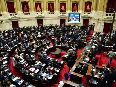 La oposici�n desaf�a a Milei: pulseada por el financiamiento al Garrahan y universidades