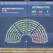 Diputados rechazó los vetos a las leyes del Garrahan y de más fondos para las universidades