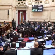 El Senado rechaz� el veto de Milei al reparto de ATN para provincias