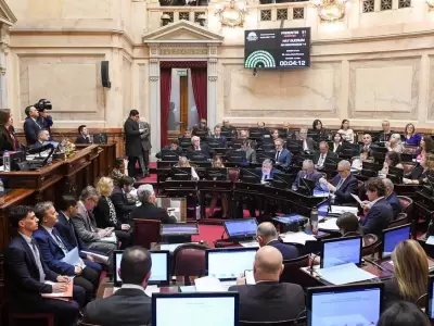 Votaron los senadores. Falta ahora el voto de Diputados.