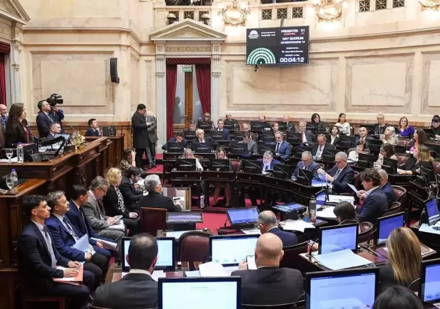 Votaron los senadores. Falta ahora el voto de Diputados.