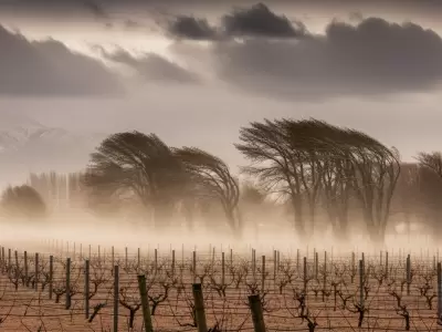 Fin de semana con clima inestable en Mendoza: viento Zonda y nevadas.