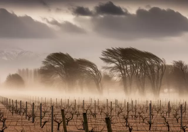 Fin de semana con clima inestable en Mendoza: viento Zonda y nevadas.