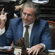 Benegas Lynch: "En el Congreso hay trogloditas que no tienen convicciones"