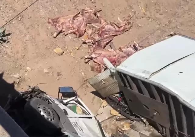 Especialistas remarcaron que esa carne no puede consumirse debido a que perdi� la cadena de fr�o durante horas. /