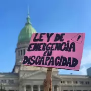 El Ejecutivo evadi� la Ley de Discapacidad y abri� un debate constitucional