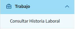 En esta sección figurarán todos los aportes, tanto los declarados por empleadores como los realizados de forma independiente