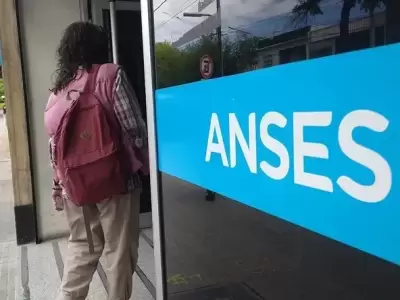 Esta situaci�n se dio a ra�z de las auditor�as de la Agencia Nacional de Discapacidad (ANDIS).