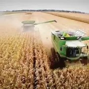 El agro ya rebas� las 11 millones de toneladas exportadas tras las retenciones cero