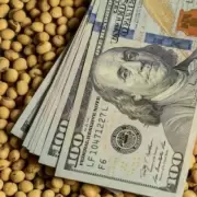 El Gobierno finaliz� el arancel cero: los granos apabullaron las exportaciones y se alcanz� el cupo