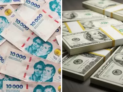 Ahorros y elecciones: qu� dicen los expertos sobre d�lar y plazos fijos.