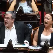Rotunda afirmación del diputado Correa Llano sobre la oposición en el Congreso
