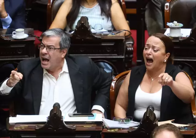 Germn Martnez y Cecilia Moreau, espadas de la oposicin en Diputados. (Foto: web)