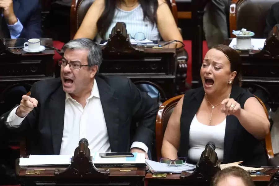 Germ�n Mart�nez y Cecilia Moreau, espadas de la oposici�n en Diputados. (Foto: web)
