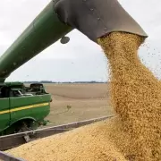 Millones de dólares: ¿para quién es el beneficio de la liquidación récord?