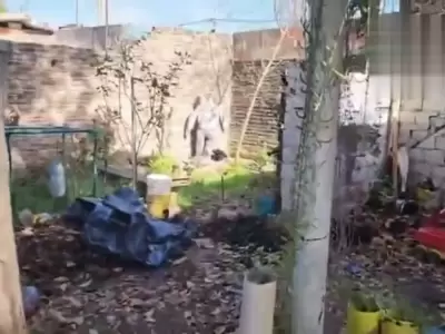 En las im�genes puede verse el patio de la vivienda en un estado de total abandono. /